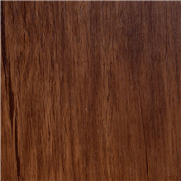 ZP 250